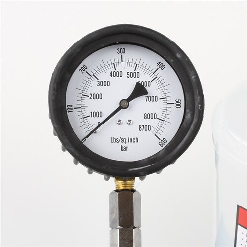 Toledo Injector Tester 8700psi/600 Bar 307350 307350 thumbnail