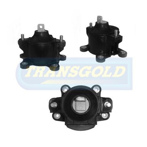Transgold Front Engine Mount - TEM2339 thumbnail