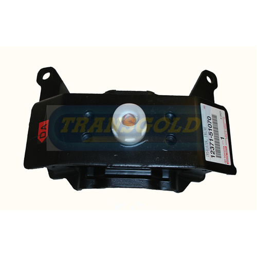 Transgold Rear Engine Mount - TEM2911 thumbnail