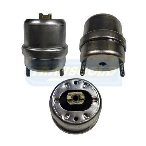 Transgold Front Right (FR) Engine Mount TEM3482 thumbnail