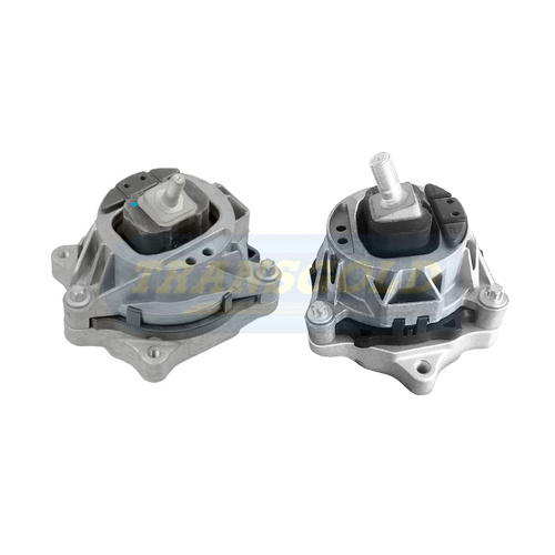 Transgold Right Engine Mount - TEM3829 thumbnail