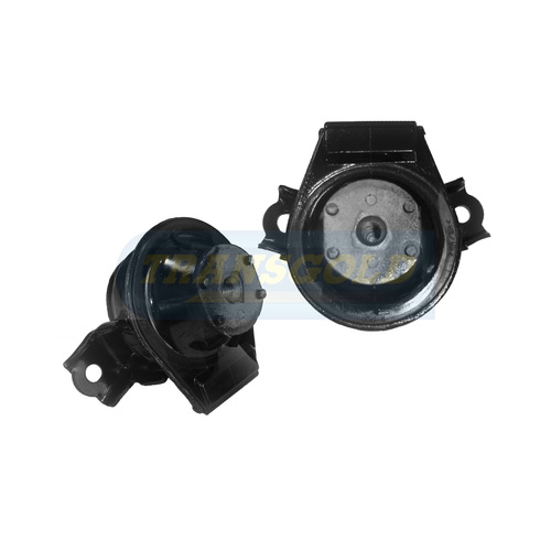 Transgold Right Engine Mount - TEM2291 thumbnail