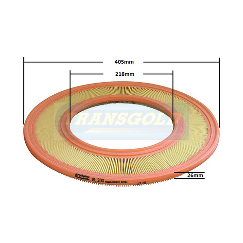 Transgold Air Filter A1156 AF1156 thumbnail