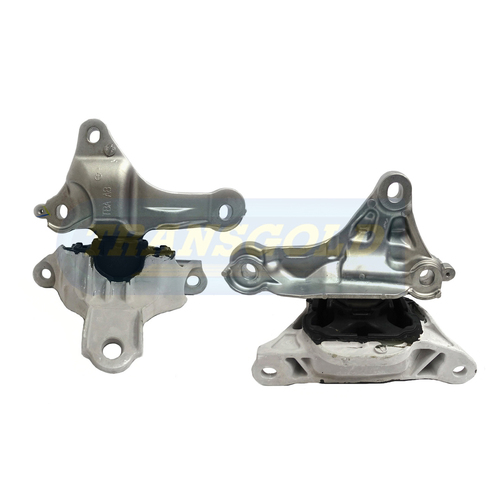 Transgold Left Engine Mount - TEM3869 thumbnail