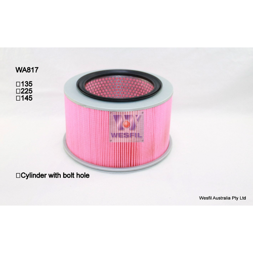 Wesfil Cooper Air Filter Wa817 A1441 thumbnail