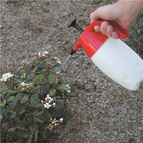 Toledo Pump Up Pressure Sprayer 2 Litre 305154 thumbnail