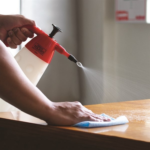 Toledo Pump Up Pressure Sprayer 1 Litre 305153 thumbnail