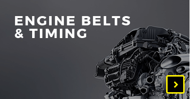 Engine Belts & Timing