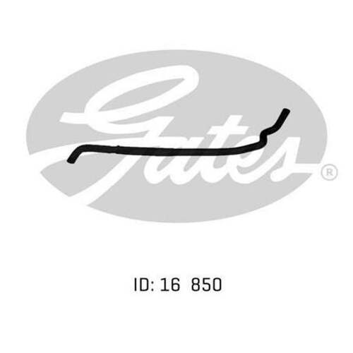 Gates Lower Radiator Hose CH2951 02-1163