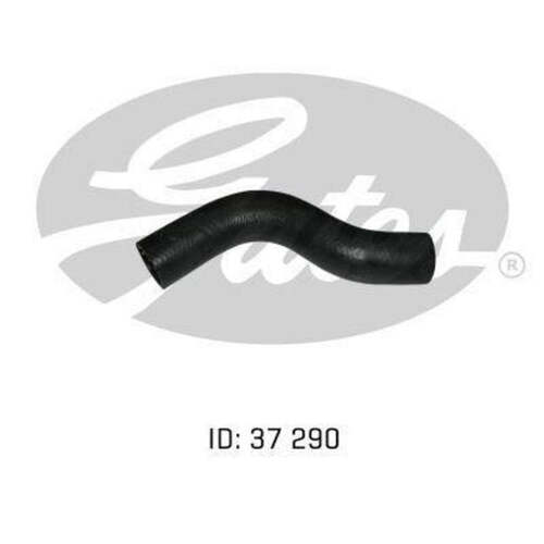 Gates Upper Radiator Hose CH5681 05-1926