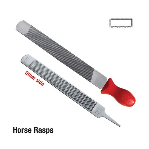Toledo Rasp Horse Very Coarse 350mm Cd 1416CD 1416CD