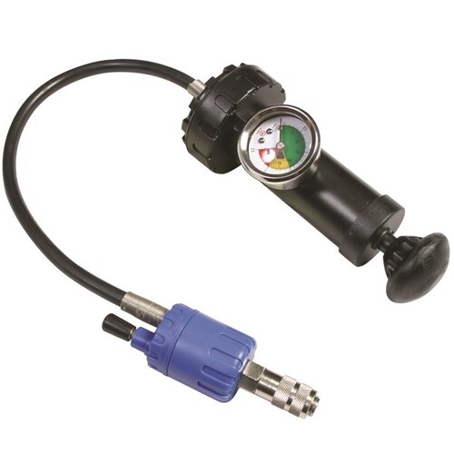 Toledo Gauge & Pump Assembly 308301 308301