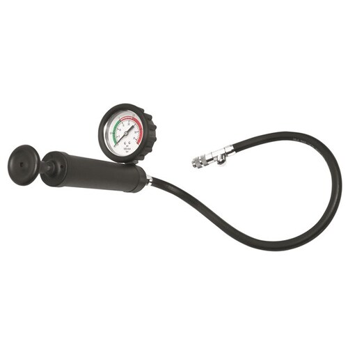 Toledo Pump With Hose/gauge 308553 308553