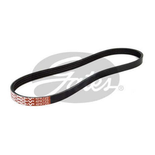 Gates Ribbed Belt 4PK725