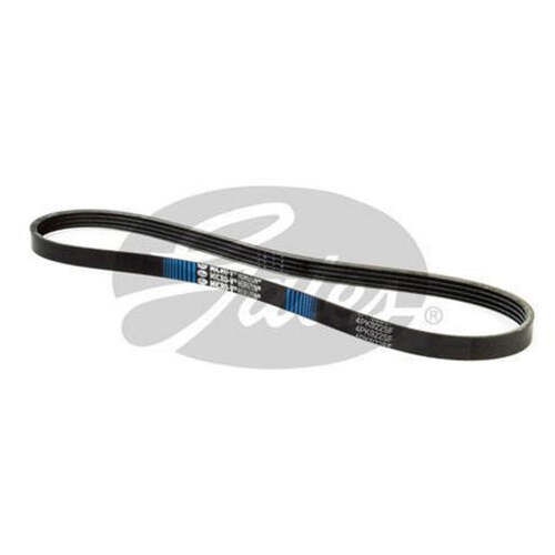 Gates Ribbed Belt 4PK922SF