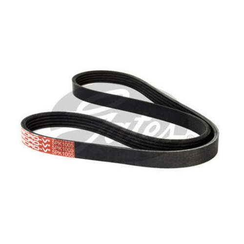 Gates Ribbed Belt 5PK1005