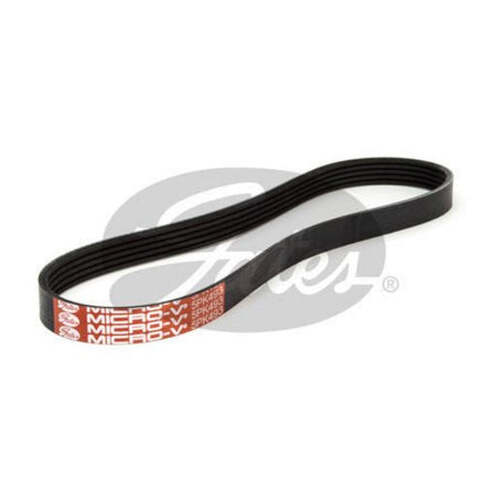 Gates Ribbed Belt 5PK493