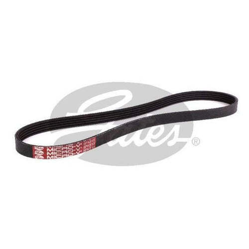 Gates Ribbed Belt 5PK810