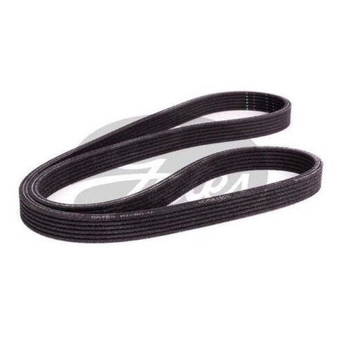 Gates Ribbed Belt 6DPK1825