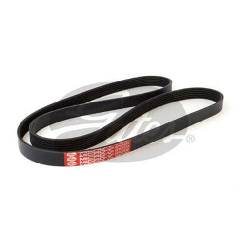 Gates Ribbed Belt 6PK1430