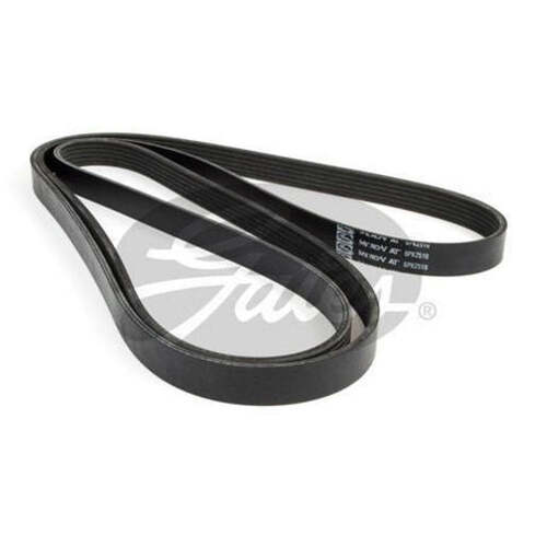 Gates Ribbed Belt 6PK2510