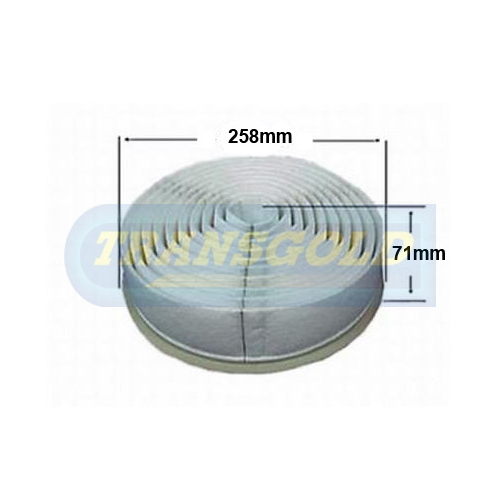 Transgold Air Filter AF1733 A1733