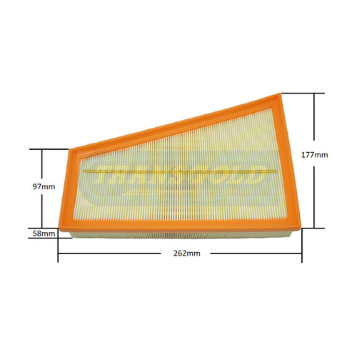 Transgold Air Filter WA5349 AF1875