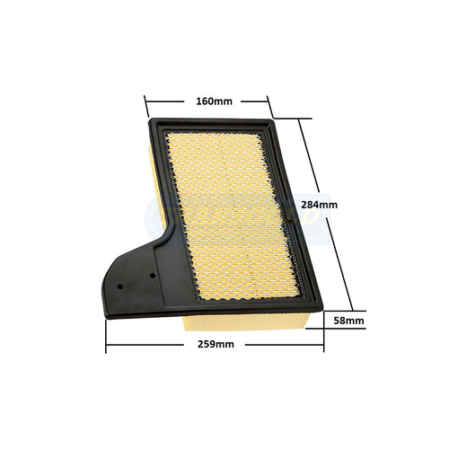 Transgold Air Filter WA5458 AF1942