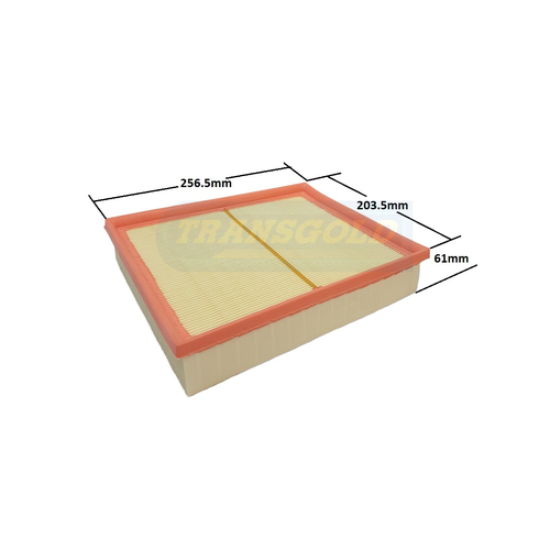 Transgold Air Filter WA5377 AF1943