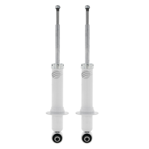 Aunger Rear Strut Assemblies Pair AS0014-2