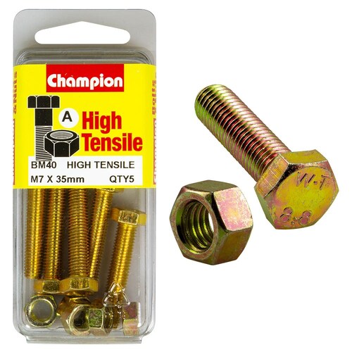 Champion Fasteners Pack Of 5 High Tensile Grade 8.8 Zinc Plated Hex Set Screws And Nuts 3PK M6 X 100MM BM40