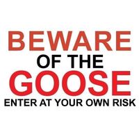 Metal Sign -" BEWARE OF THE GOOSE" 120mmx200mm