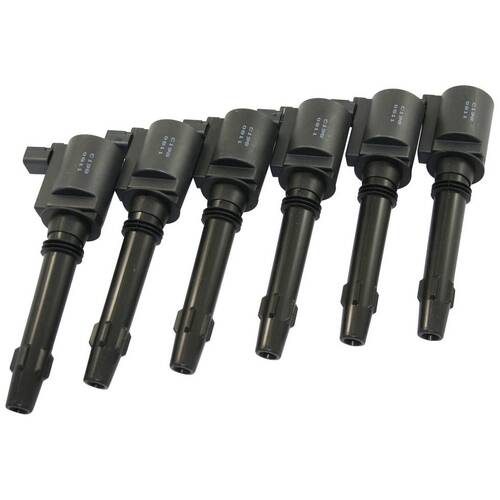 Goss Ignition Coil Set (6 Pack) C198M IGC-163