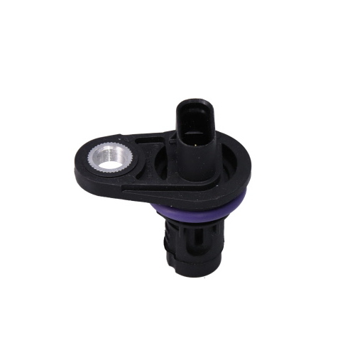 CAM ANGLE SENSOR