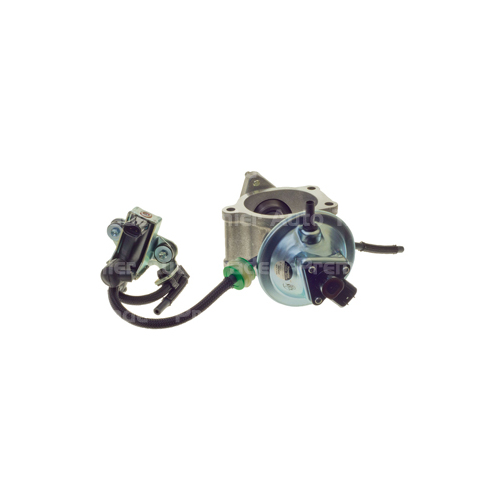 EXHAUST GAS RECIRCULATION VALVE