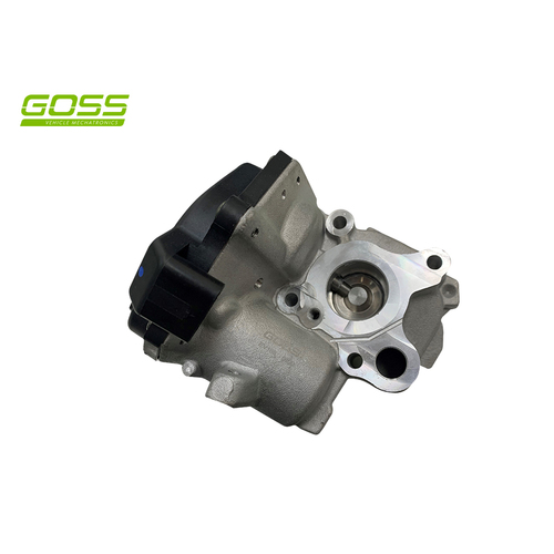 Goss EGR Valve EV165