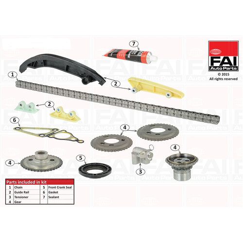 Nason Timing Chain Kit With Gears FTKG14
