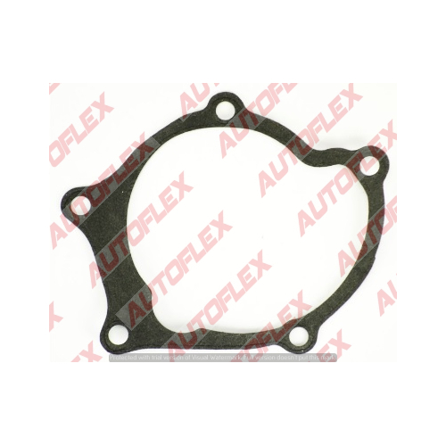 Water Pump Gasket GG107 GG107