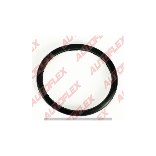 Thermostat Gasket GG1093 TTG47