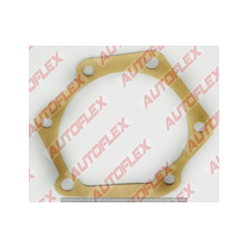 Water Pump Gasket GG1291 GG1291