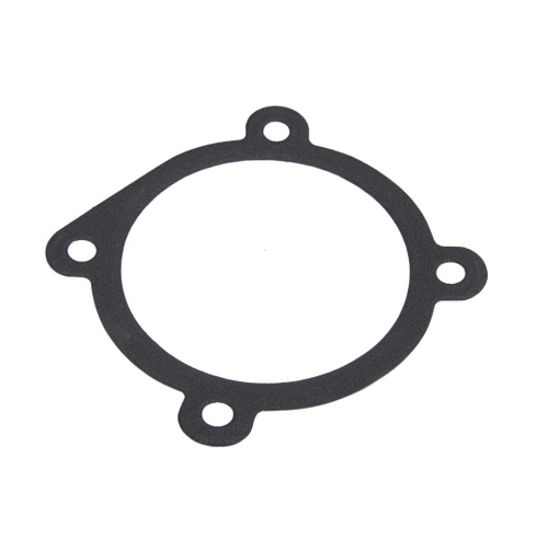 PAT Gasket For TBO-029 GSK-307