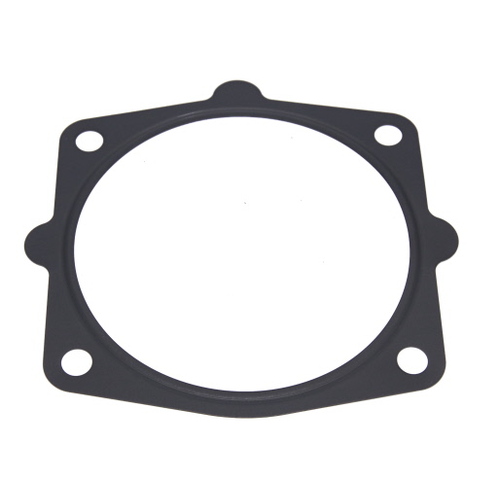 PAT Gasket For Tbo-042 GSK-363