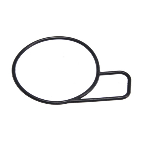 PAT Gasket For Tbo-047 GSK-371