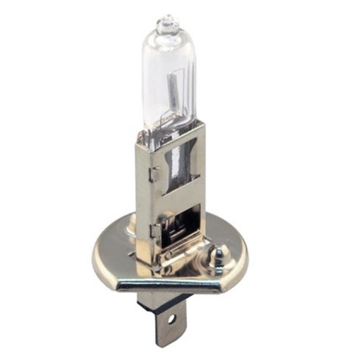 Exelite Globe Halogen H1 12V 55W - 1Pc H221