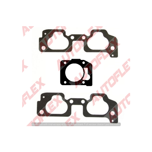 Inlet Manifold Set IMS310 IMS310