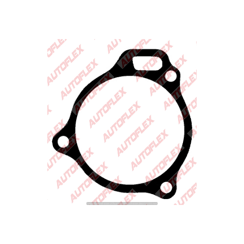 ProTorque  Ptq Water Pump Gasket    113515
