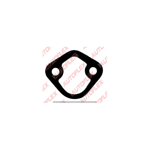 Fuel Pump Gasket KG970