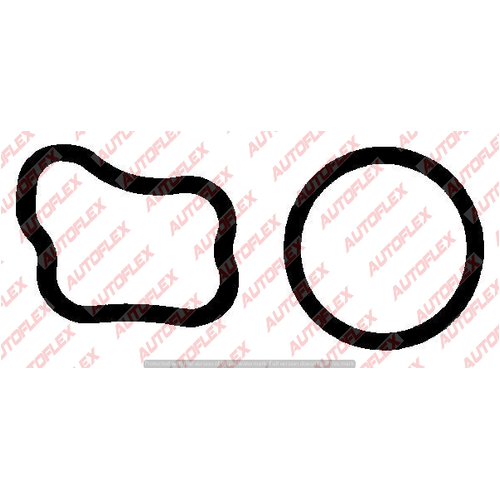 Thermostat Water Outlet Gasket O-ring Kit WO117 WO117