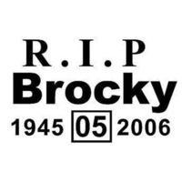 White R.I.P Brocky Decal/Sticker Peter Brock - approx 120mm x 170mm