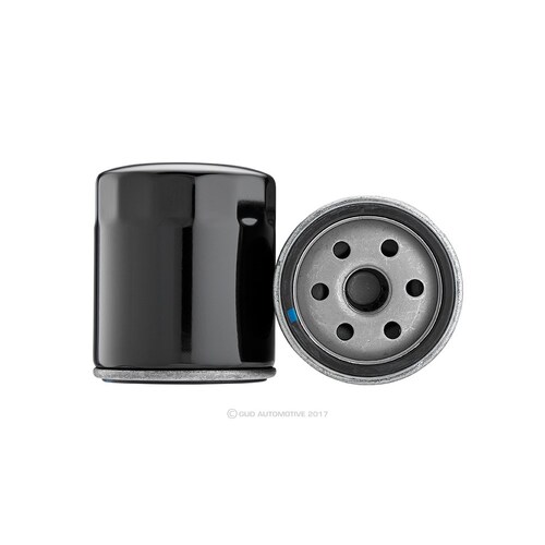 Ryco Motorcycle Oil Filter RMZ110